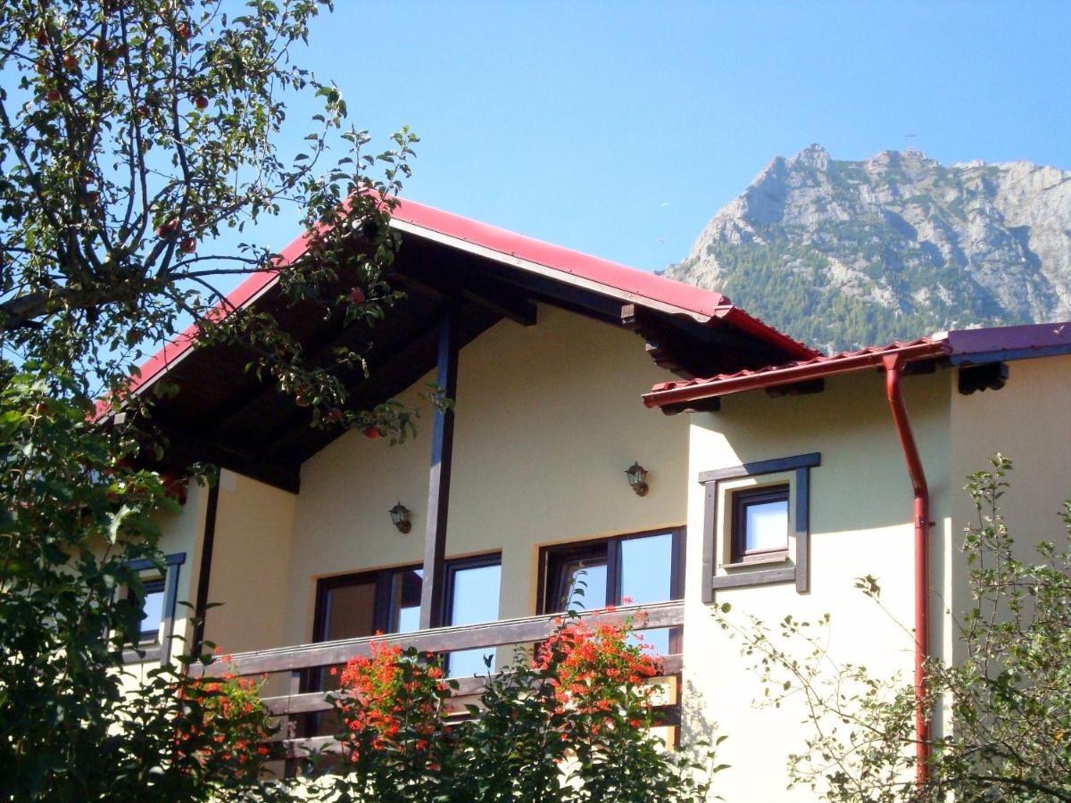 Casa Cu Flori Hotell Buşteni Exteriör bild