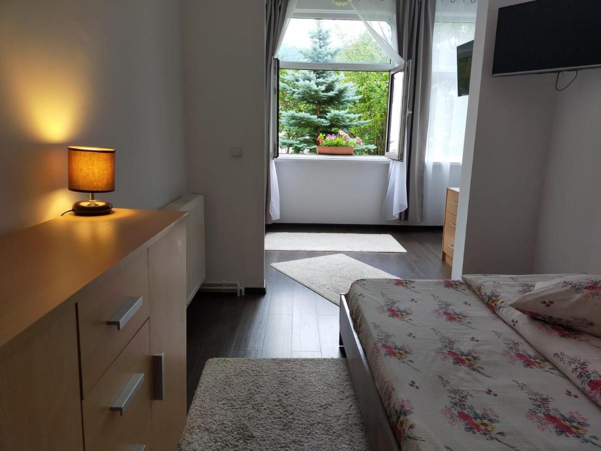 Casa Cu Flori Hotell Buşteni Exteriör bild