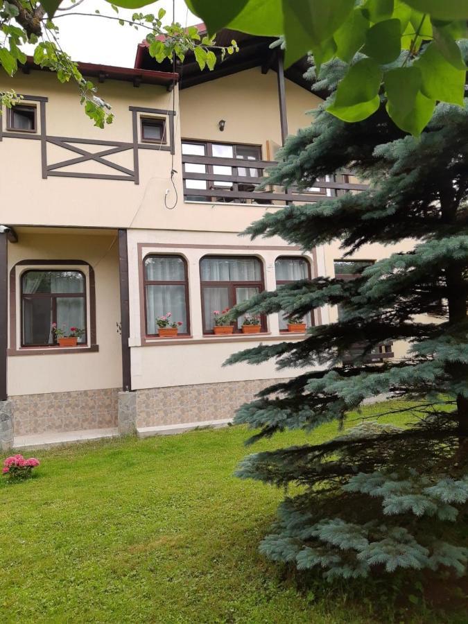 Casa Cu Flori Hotell Buşteni Exteriör bild