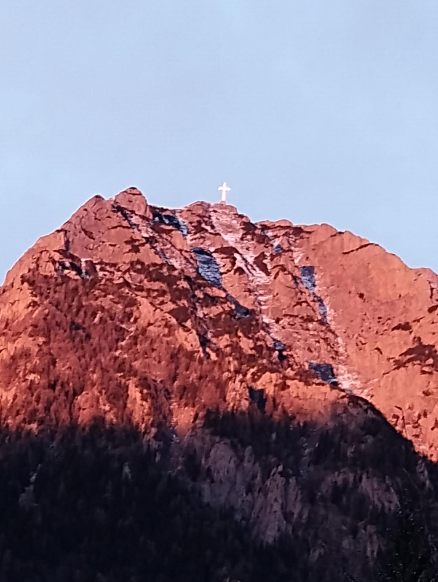 Casa Cu Flori Hotell Buşteni Exteriör bild