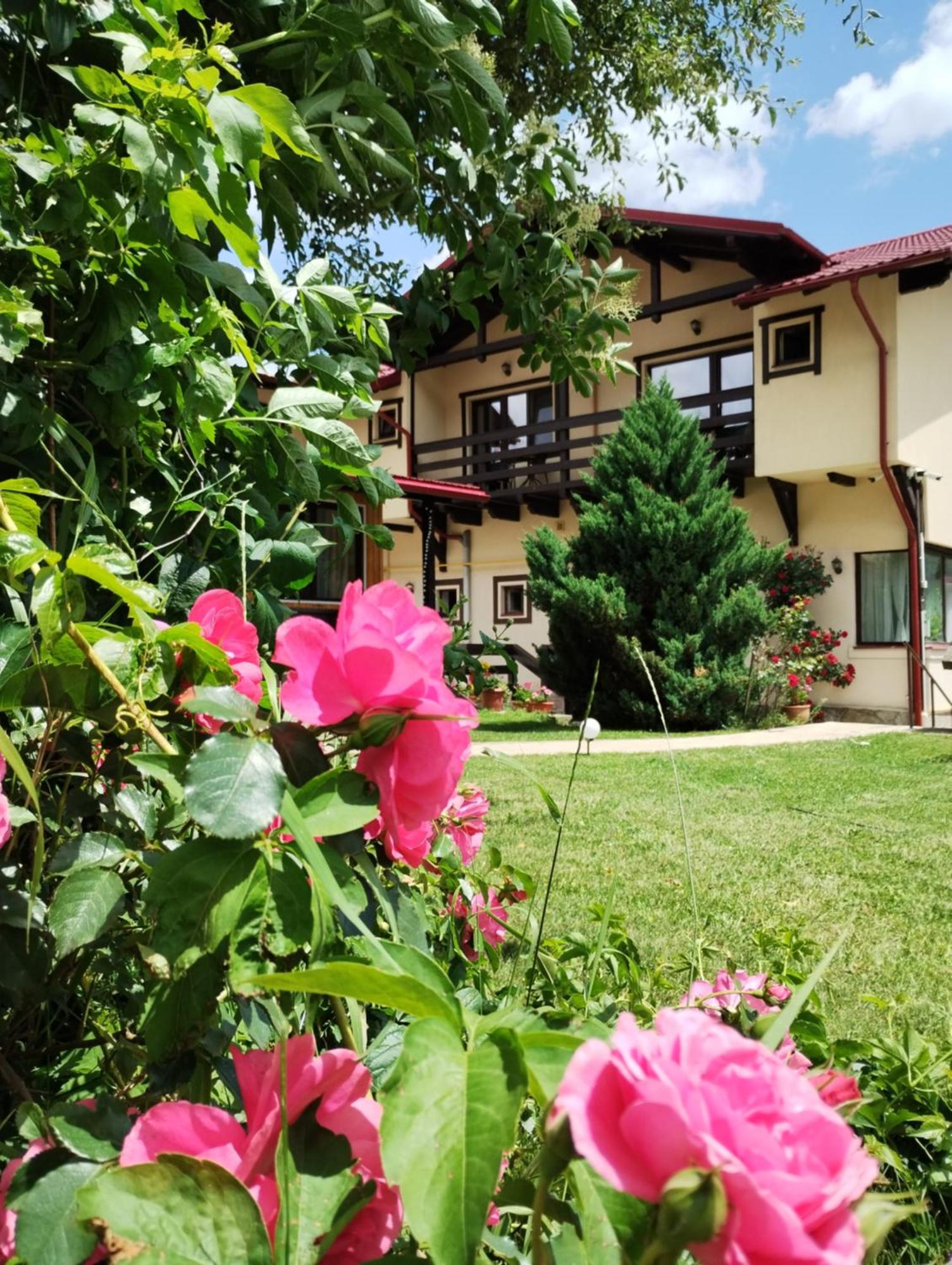 Casa Cu Flori Hotell Buşteni Exteriör bild